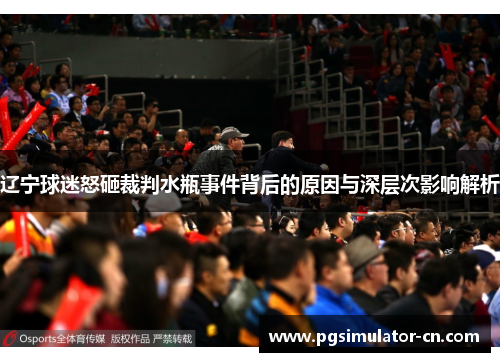 辽宁球迷怒砸裁判水瓶事件背后的原因与深层次影响解析 辽宁球迷怒砸裁判水瓶事件背后的原因与深层次影响解析