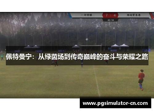 佩特曼宁:从绿茵场到传奇巅峰的奋斗与荣耀之路 佩特曼宁:从绿茵场到传奇巅峰的奋斗与荣耀之路