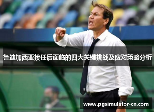 鲁迪加西亚接任后面临的四大关键挑战及应对策略分析 鲁迪加西亚接任后面临的四大关键挑战及应对策略分析
