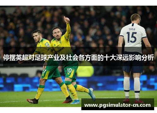 停摆英超对足球产业及社会各方面的十大深远影响分析 停摆英超对足球产业及社会各方面的十大深远影响分析