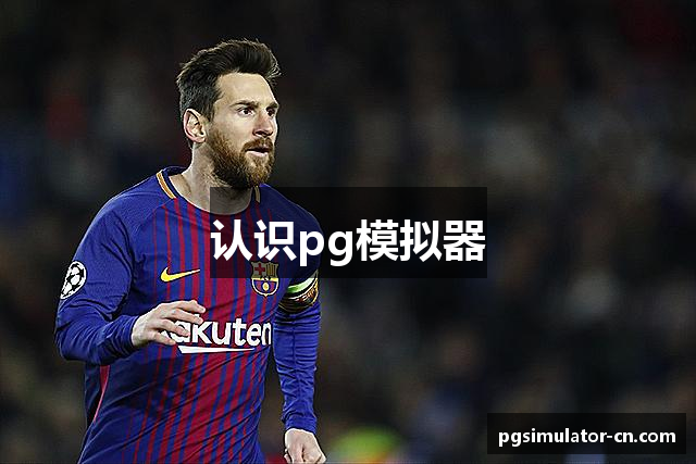认识pg模拟器